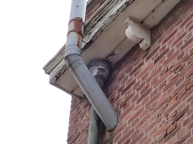 Image1